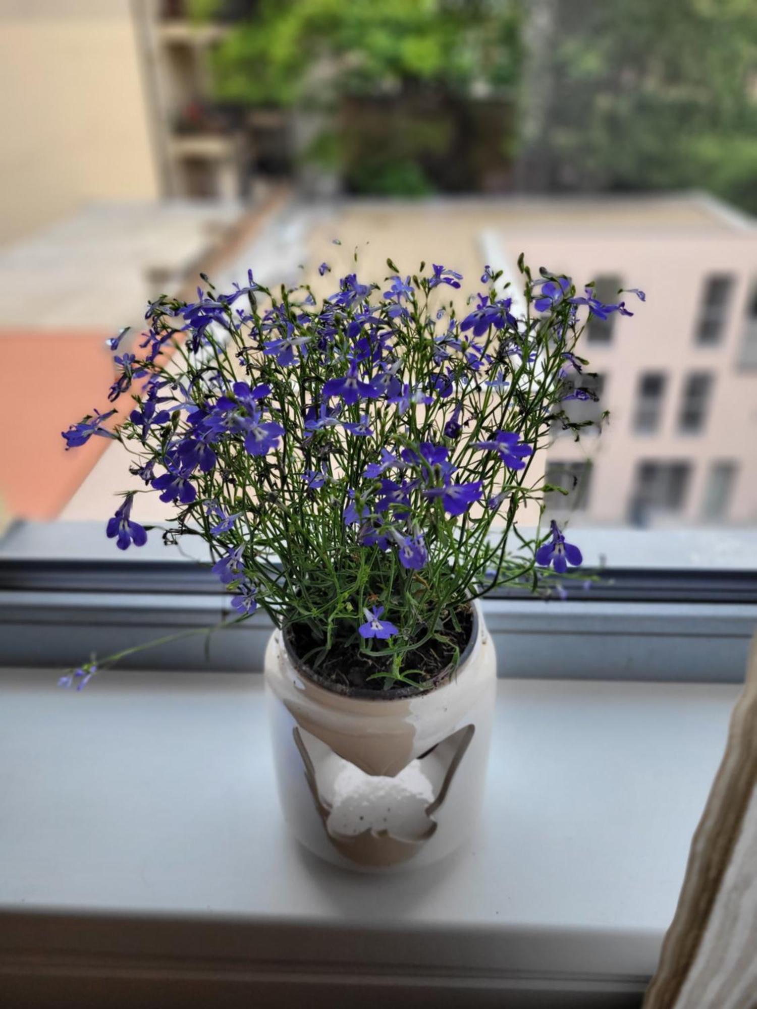 Apartamento Klidne Misto Pro Tebe Praga Exterior foto